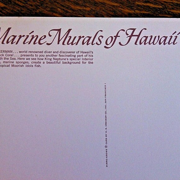 Vintage Postcard Marine Murals Hawaii Moorish Idols Fish & Black Coral Unposted - Picture 8 of 16